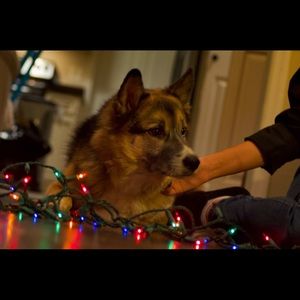 Meet your Posher, Hope